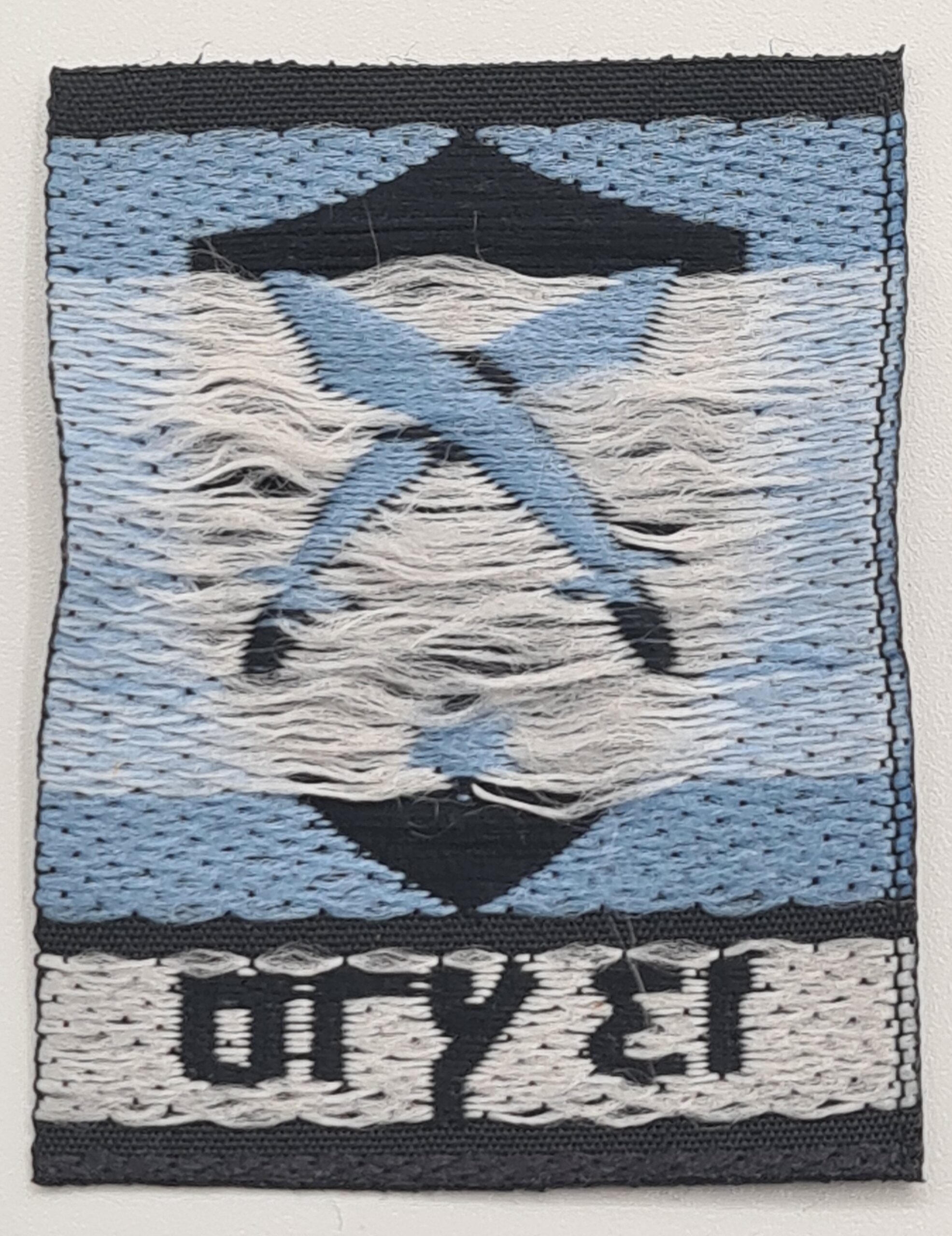 כיסוי דיסקית גדוד חרב גב